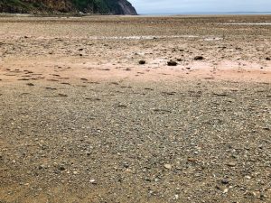 Day 6: Bay of Fundy (High and Low Tide Photos)