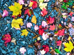 October (Poem by Robert Frost)