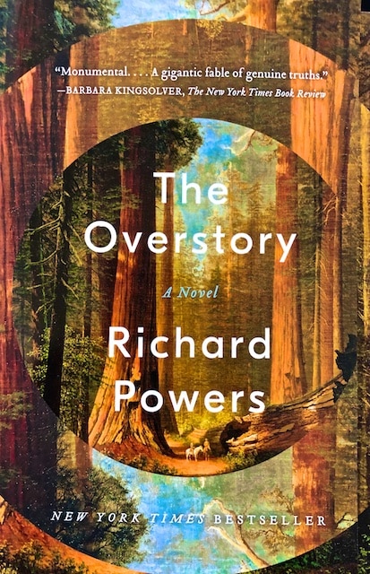 Overstory book review