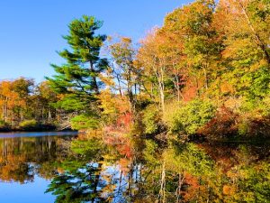 Peak Fall Foliage Photos (with Thomas Merton Quote)