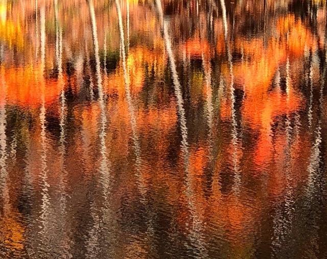 Autumn reflections on water photos