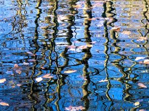 Ripples on Still Waters (Photos and New Poem)