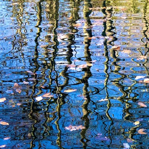 Ripples in Still Water (photos and poem) by Polly Castor