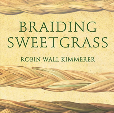 Braiding Sweetgrass (book Review)