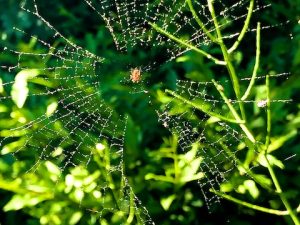 Approach with Reverence (John O’Donohue Quote)