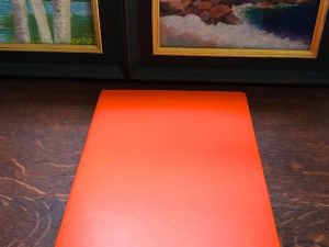 Bible Study Journal (Photos of Recent Pages)