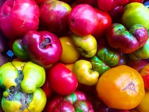 Farmer’s Market Produce and Flowers (Late Summer 2020)