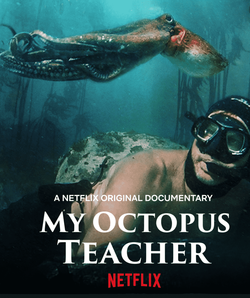 octopus movie