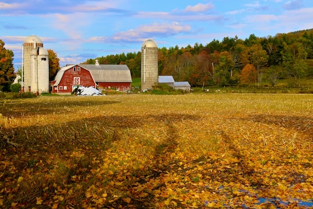 Autumn Vermont Photos