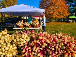 Farmer’s Market Produce and Flowers (Early Fall Photos)