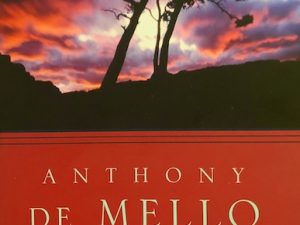 Awareness (Book Review with Quotes)