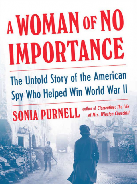 A Woman of No Importance (book Review)
