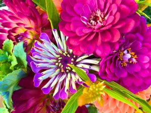 Purpose of Life is to Be Happy (Dalai Lama Quote)