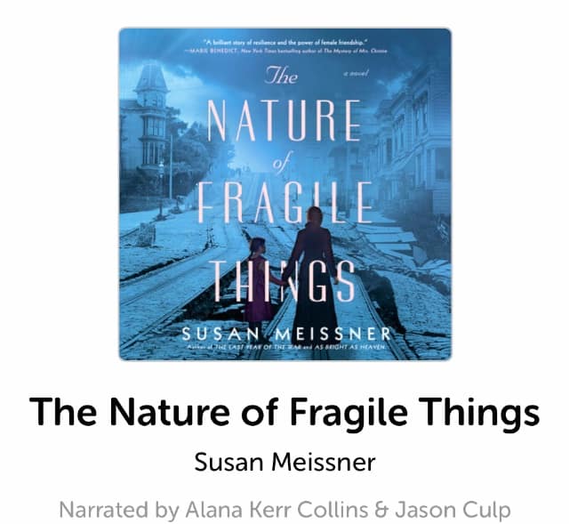 the nature of fragile things synopsis