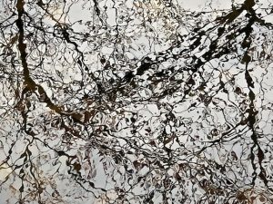 Gray Day Water Surface Photography (Abstract Composition)