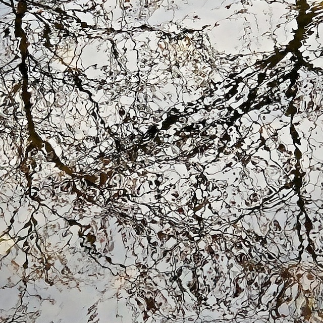 Water Surface Abstract Compositions in Gray