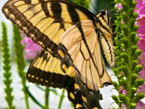 What You Do and Think Matters!