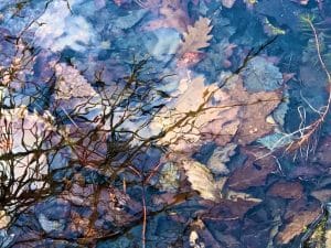 Photos from April Hikes at Huntington State Park 2021