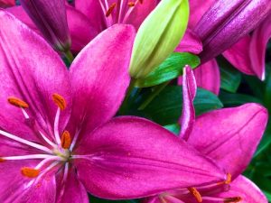 SemiAnnual Request for Blog Donations