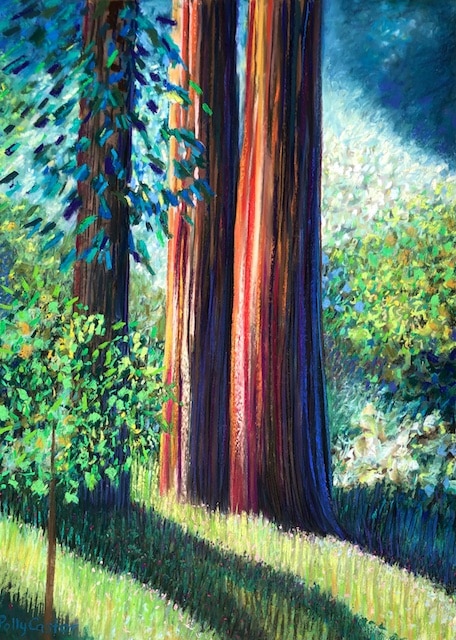 Old Growth, pastel by Polly Castor