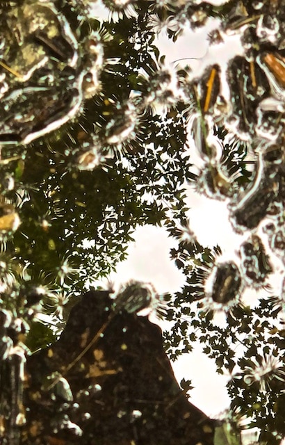 abstract photos taken in puddles