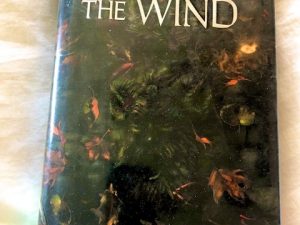 Name of the Wind (Book Review)