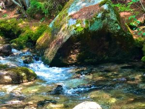 Photos of Katahdin Stream