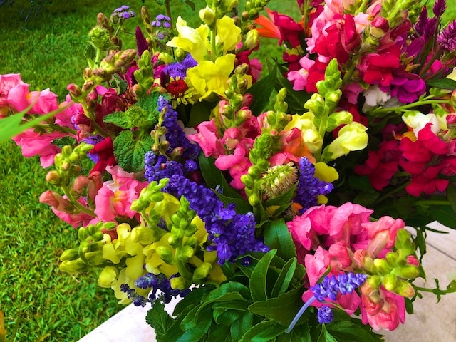 Late Summer Farmer's Market Photos, Still Life Photography