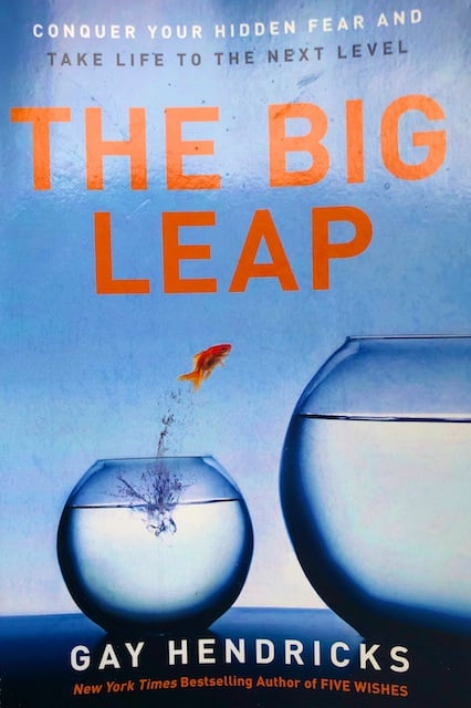 The Big Leap Book Review