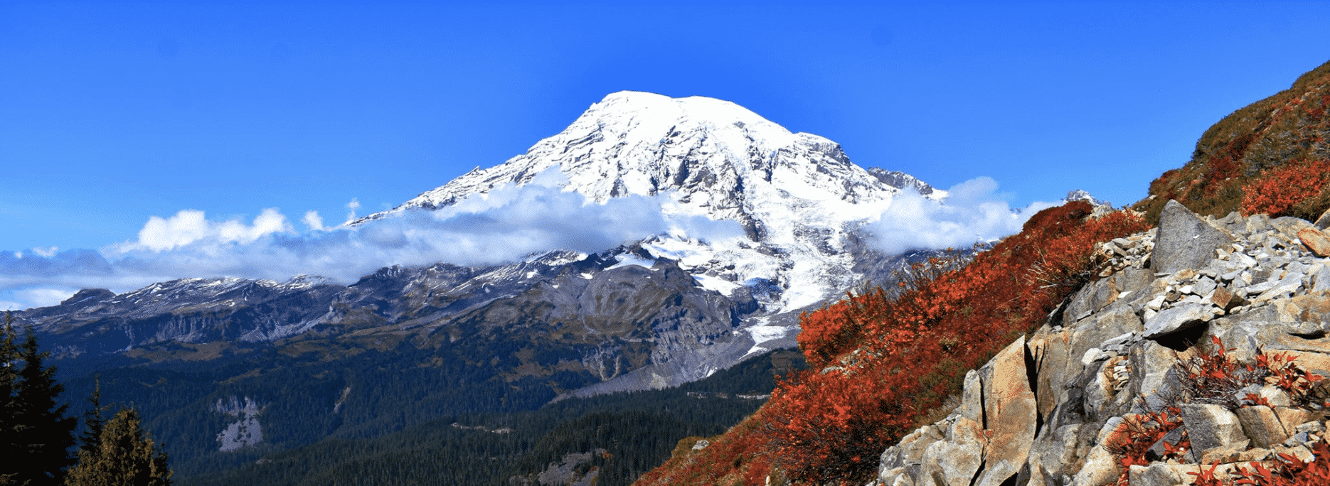 Mount Rainier's Still There (Poem and Photos by Karen Molenaar Terrell)