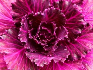 Living for Yourself? (New Poem by Polly Castor)