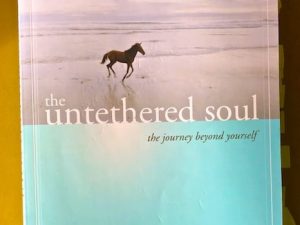 The Untethered Soul (Book Review with Quotes)