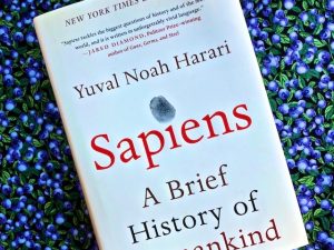 Sapiens (Book Review)
