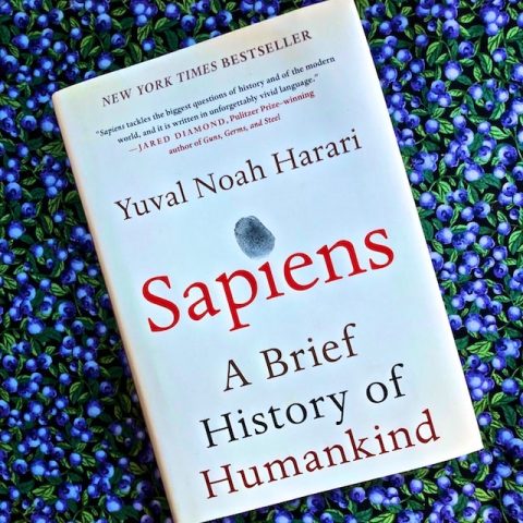 Sapiens book review