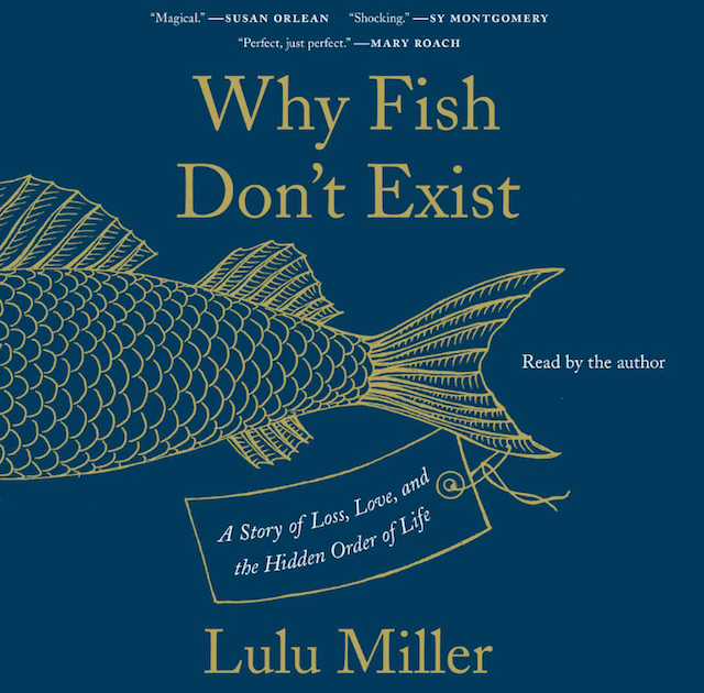 Why Fish Don't Exist book review
