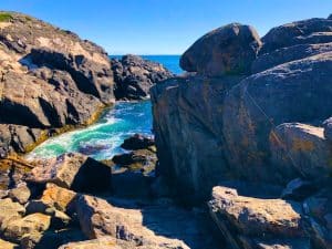 Monhegan Island: Hike Through Cathedral Forest to Squeaker Cove (Photos)