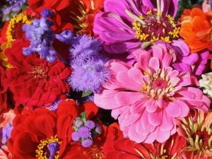 Life, Truth, and Love Always Work (Deep Think #21)