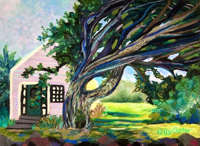 Windblown Tree, Monhehan (pastel) by Polly Castor