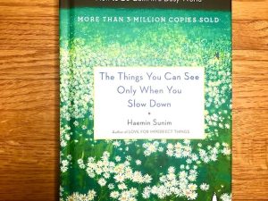 Things You Can See Only When You Slow Down (Book Review with Quotes)