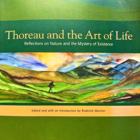 Thoreau and the Art of Life book review