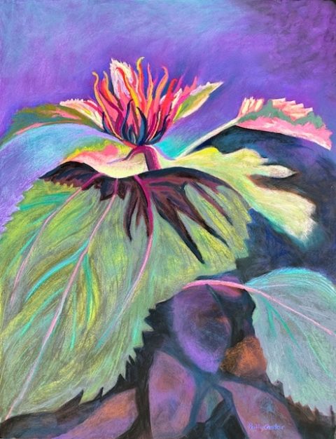 Getting Ready to Bloom (pastel) by Polly Castor