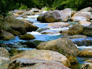 Riparian Soul (poem by Rosemerry Wathola Trommer)