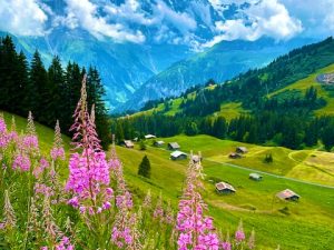 Schilthorn Cloud and Alpine Meadow Hike