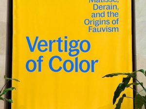 Vertigo of Color (Matisse / Derian Early Fauve Show at the MET)