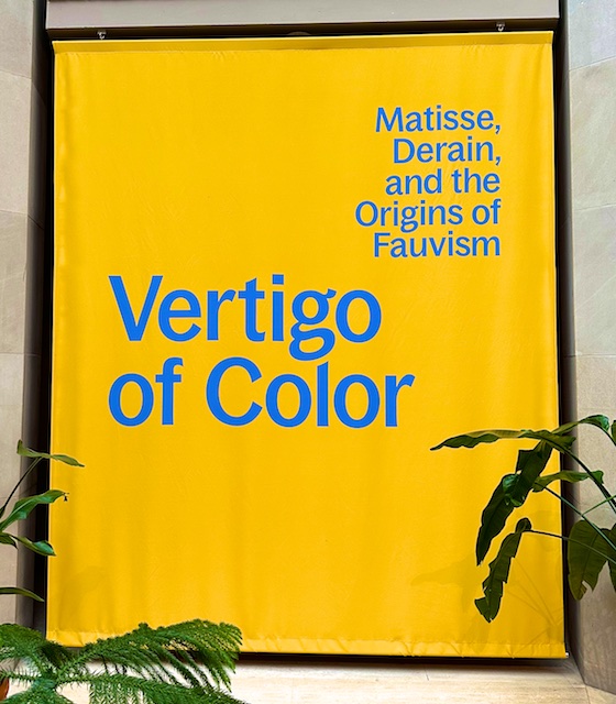 Vertigo of Color, fauve show at the MET