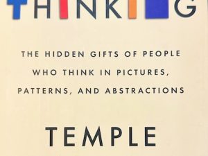 Visual Thinking (Book Review)