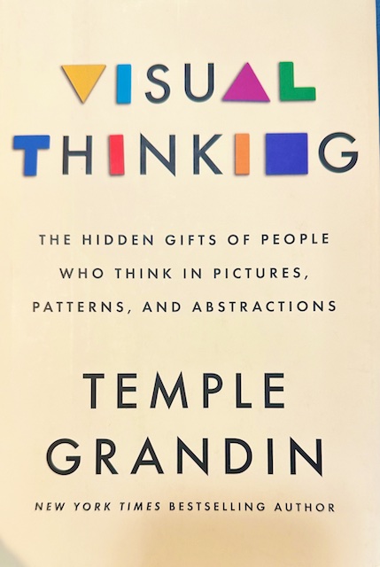 Visual Thinking book review