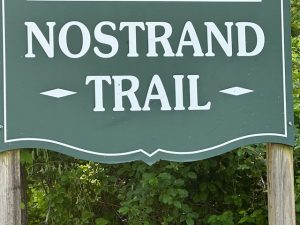 Nostrand Preserve (Hike Photos)