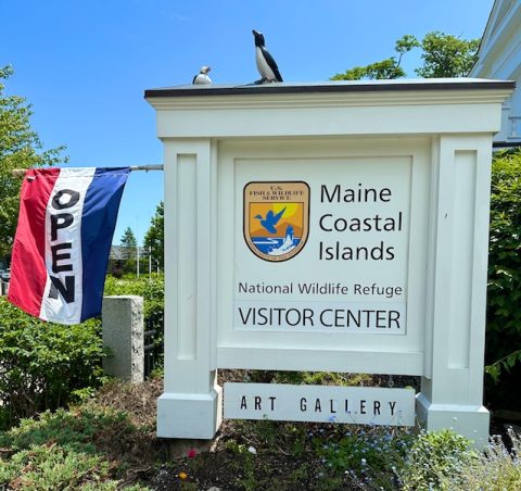 Art show in Maine