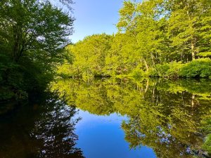 Hike Photos from Huntington State Park (July 2024)